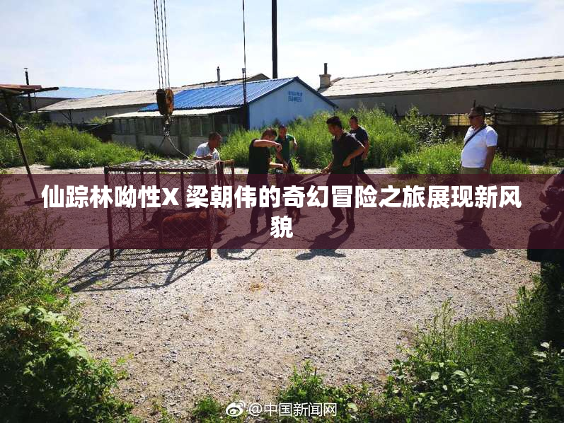 仙踪林呦性X 梁朝伟的奇幻冒险之旅展现新风貌