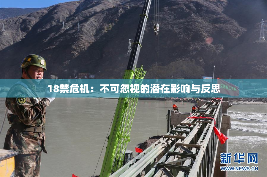 18禁危机：不可忽视的潜在影响与反思