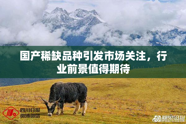 国产稀缺品种引发市场关注，行业前景值得期待
