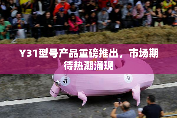 Y31型号产品重磅推出，市场期待热潮涌现