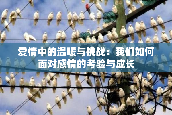 爱情中的温暖与挑战：我们如何面对感情的考验与成长
