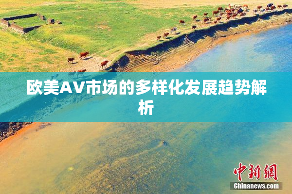 欧美AV市场的多样化发展趋势解析