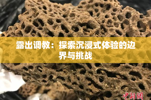 露出调教：探索沉浸式体验的边界与挑战