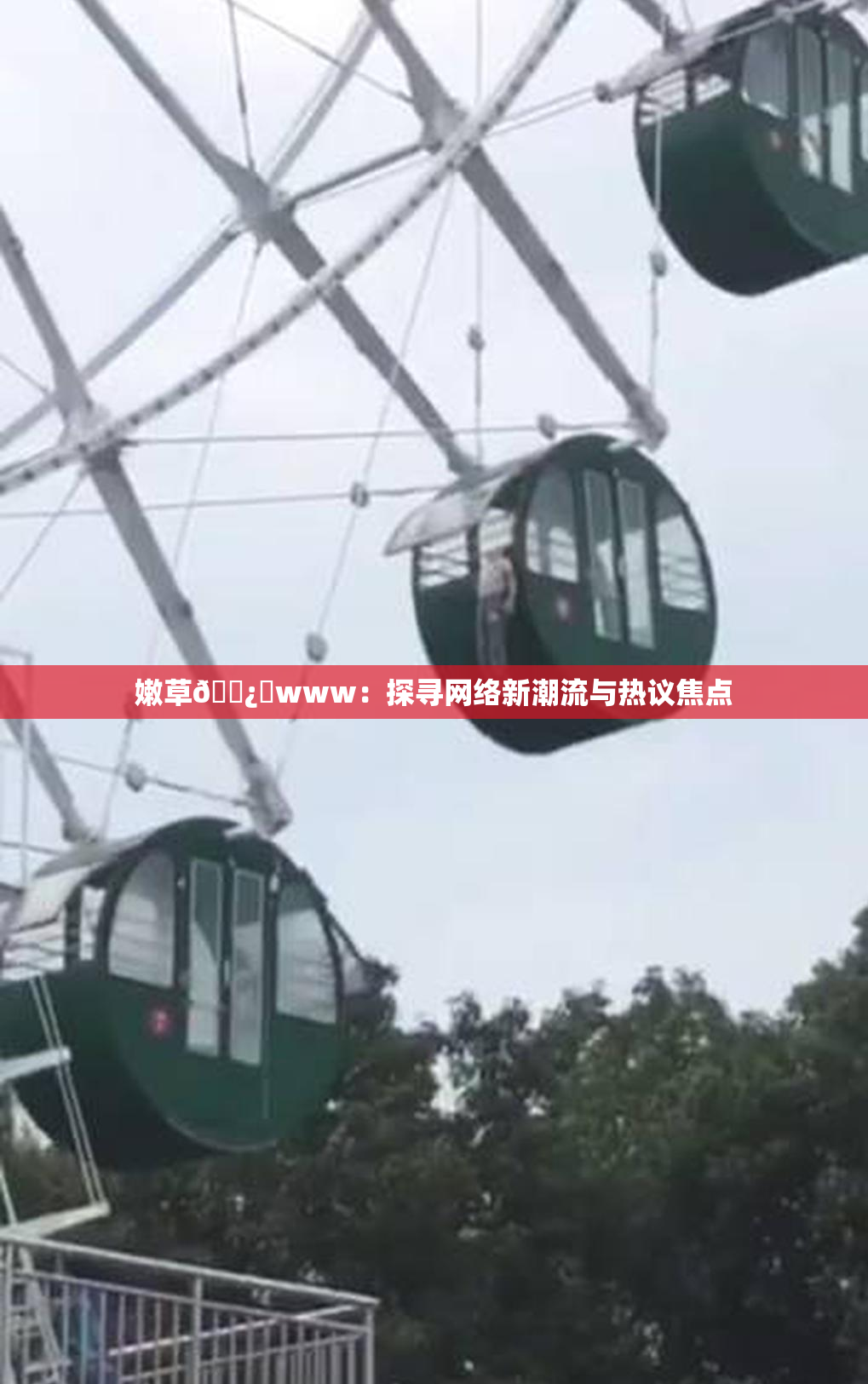 嫩草🌿‌www：探寻网络新潮流与热议焦点