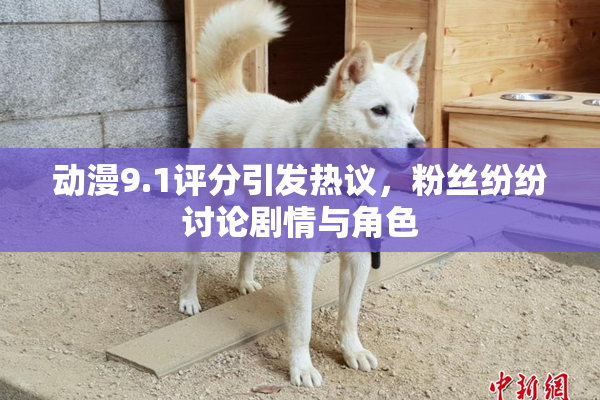 动漫9.1评分引发热议，粉丝纷纷讨论剧情与角色