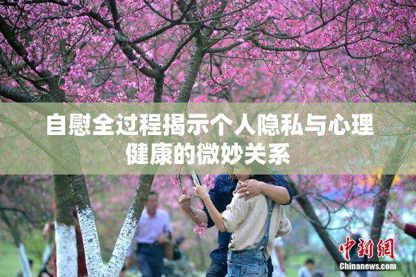 自慰全过程揭示个人隐私与心理健康的微妙关系
