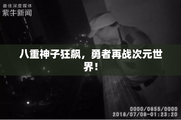 八重神子狂飙，勇者再战次元世界！