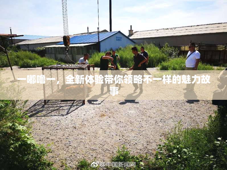 一嘟噜一，全新体验带你领略不一样的魅力故事