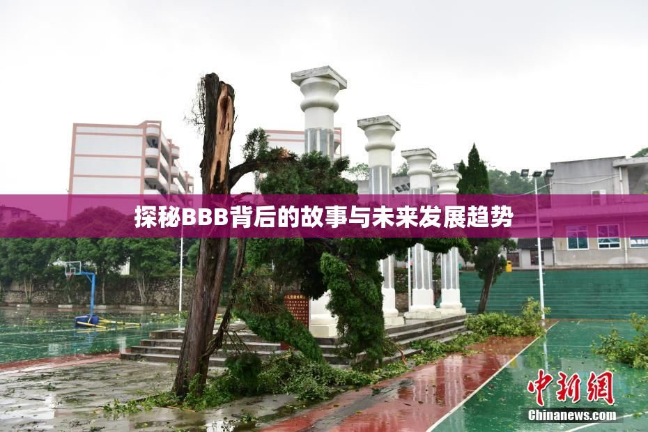 探秘BBB背后的故事与未来发展趋势