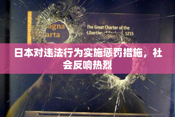 日本对违法行为实施惩罚措施，社会反响热烈