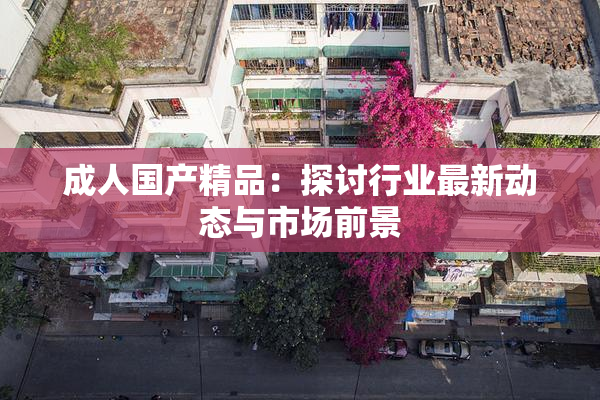 成人国产精品：探讨行业最新动态与市场前景