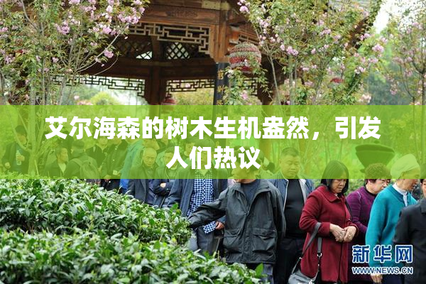 艾尔海森的树木生机盎然，引发人们热议