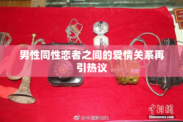 男性同性恋者之间的爱情关系再引热议