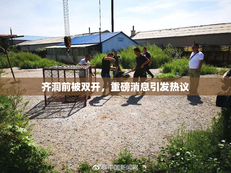 齐洞前被双开，重磅消息引发热议