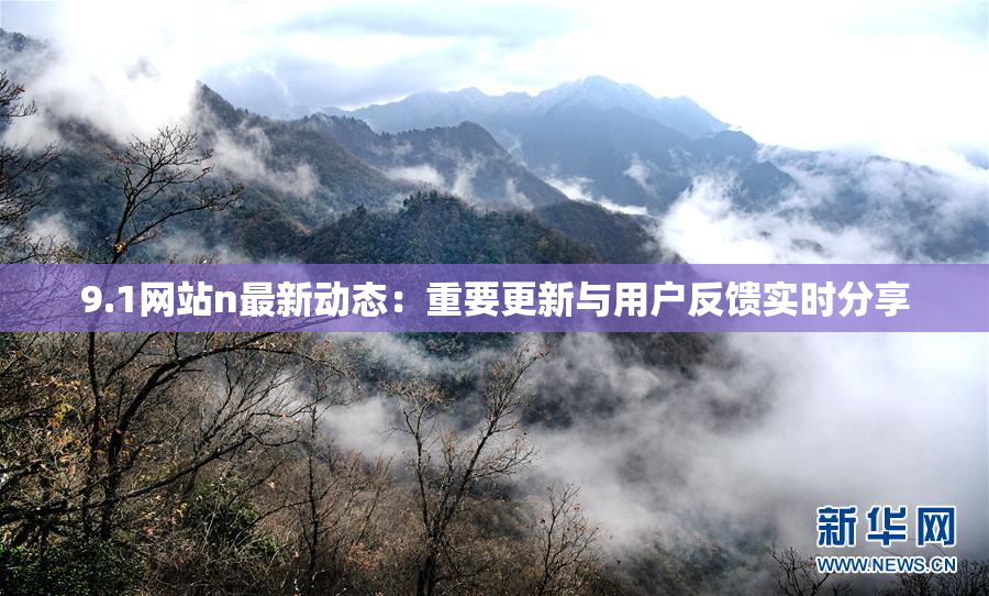 9.1网站n最新动态：重要更新与用户反馈实时分享