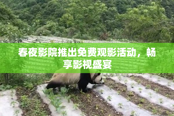 春夜影院推出免费观影活动，畅享影视盛宴