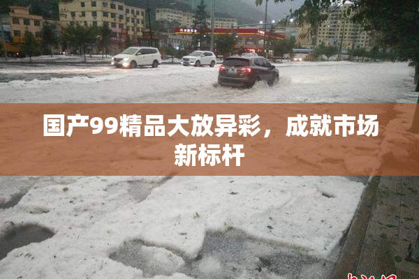 国产99精品大放异彩，成就市场新标杆