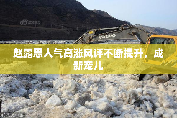 赵露思人气高涨风评不断提升，成新宠儿