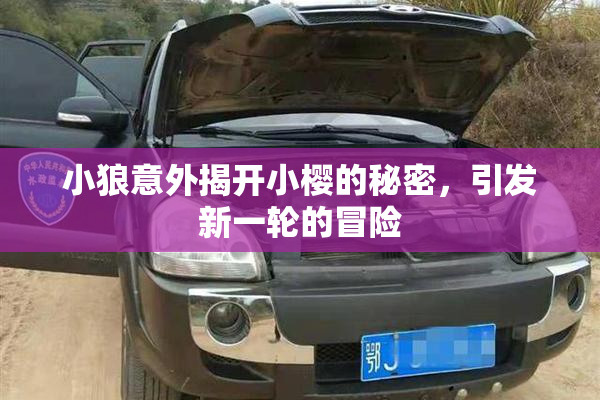 小狼意外揭开小樱的秘密，引发新一轮的冒险