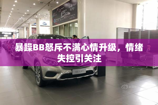 暴躁BB怒斥不满心情升级，情绪失控引关注