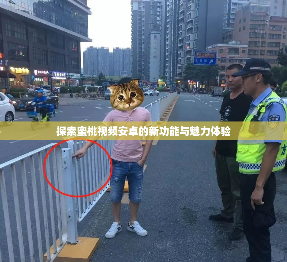 探索蜜桃视频安卓的新功能与魅力体验