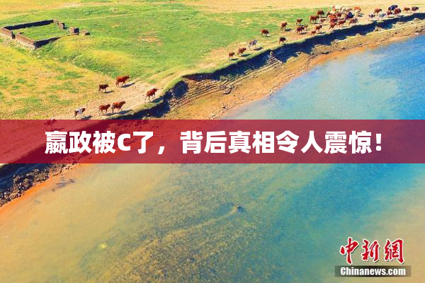 嬴政被C了，背后真相令人震惊！