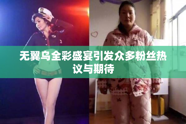 无翼乌全彩盛宴引发众多粉丝热议与期待