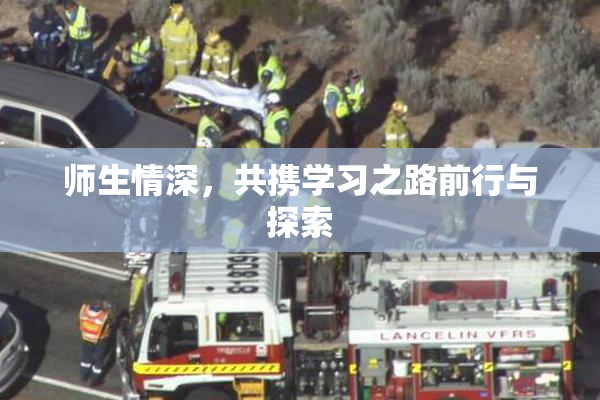 师生情深，共携学习之路前行与探索
