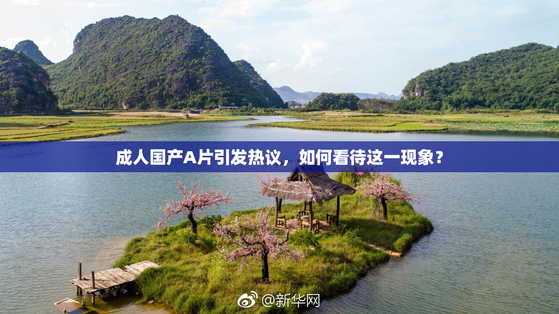 成人国产A片引发热议，如何看待这一现象？