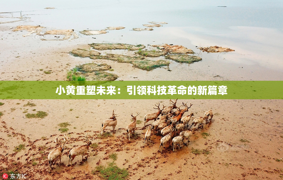小黄重塑未来：引领科技革命的新篇章