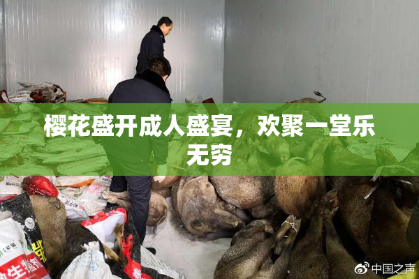 樱花盛开成人盛宴，欢聚一堂乐无穷
