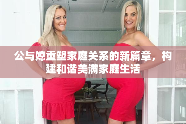 公与媳重塑家庭关系的新篇章，构建和谐美满家庭生活