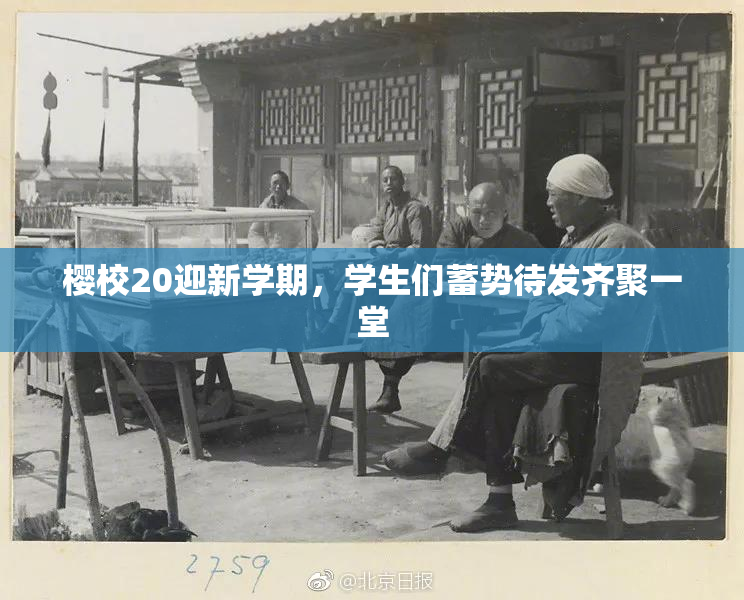 樱校20迎新学期，学生们蓄势待发齐聚一堂
