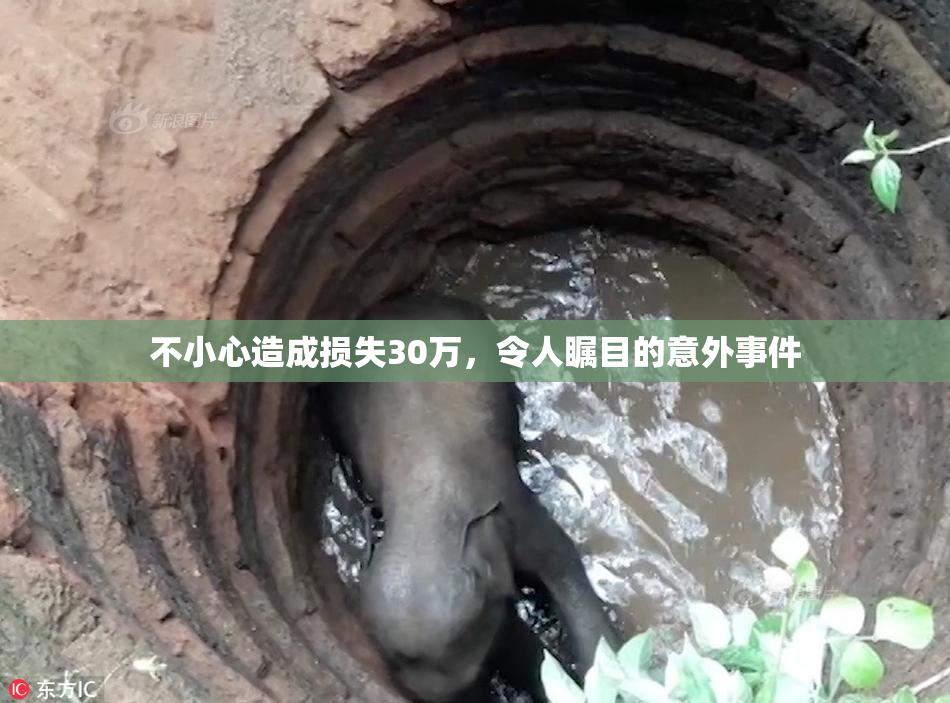 不小心造成损失30万，令人瞩目的意外事件