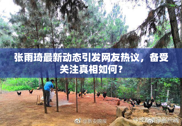 张雨琦最新动态引发网友热议，备受关注真相如何？