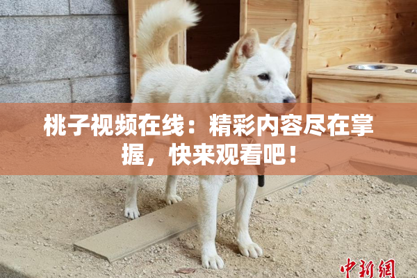 桃子视频在线：精彩内容尽在掌握，快来观看吧！