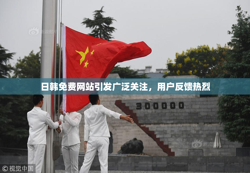 日韩免费网站引发广泛关注，用户反馈热烈