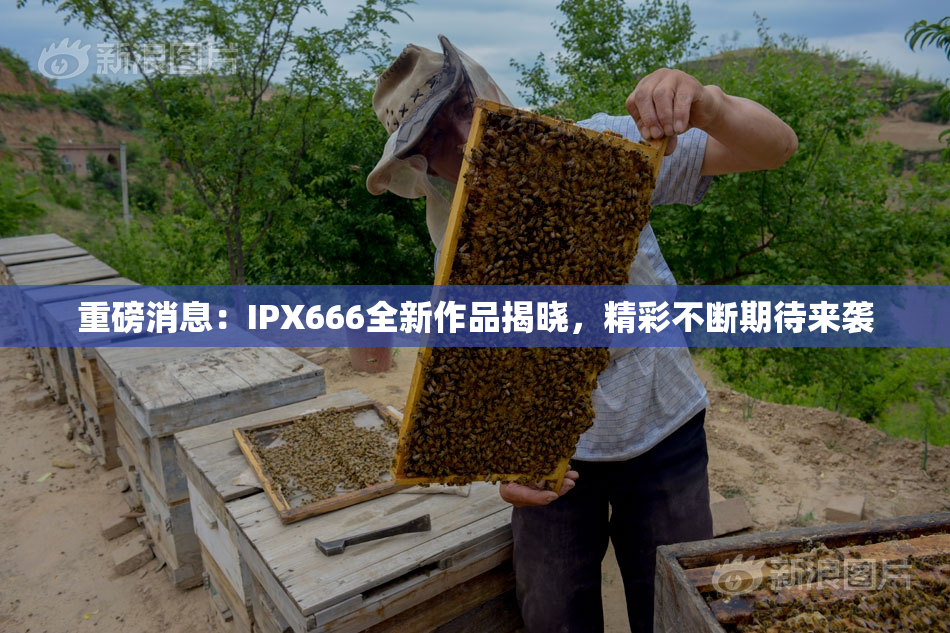 重磅消息：IPX666全新作品揭晓，精彩不断期待来袭