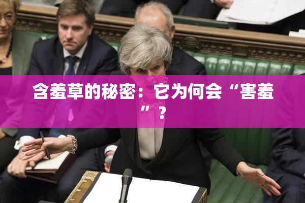含羞草的秘密：它为何会“害羞”？