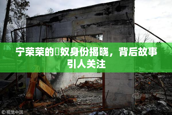 宁荣荣的婬奴身份揭晓，背后故事引人关注