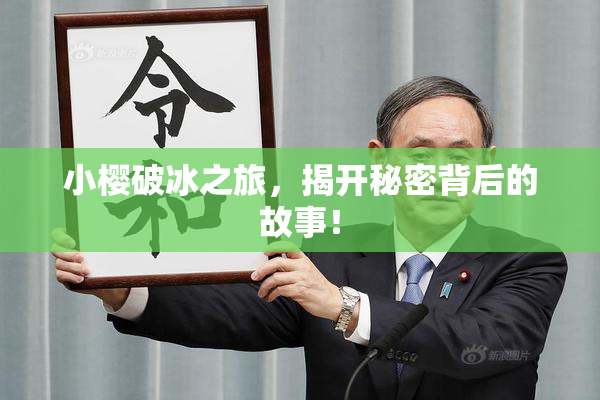 小樱破冰之旅，揭开秘密背后的故事！