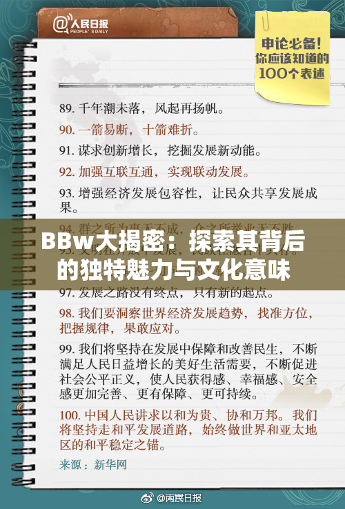 BBw大揭密：探索其背后的独特魅力与文化意味