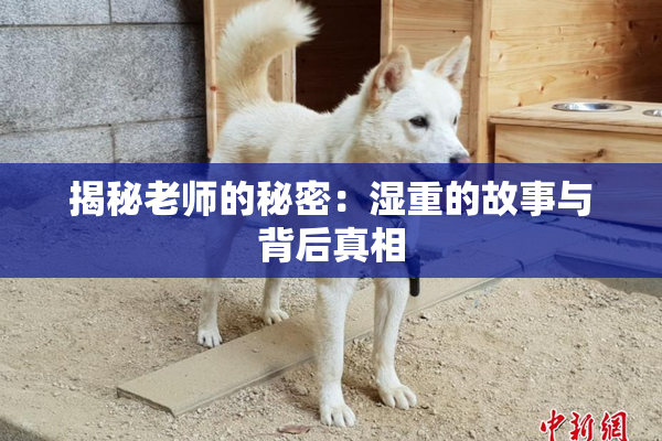 揭秘老师的秘密：湿重的故事与背后真相