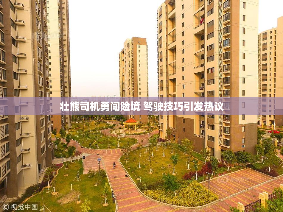 壮熊司机勇闯险境 驾驶技巧引发热议