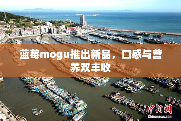 蓝莓mogu推出新品，口感与营养双丰收