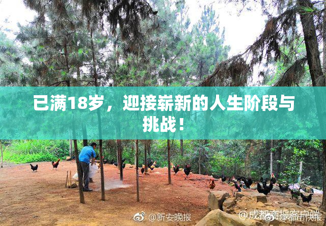 已满18岁，迎接崭新的人生阶段与挑战！