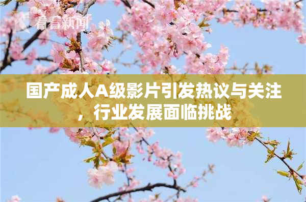 国产成人A级影片引发热议与关注，行业发展面临挑战
