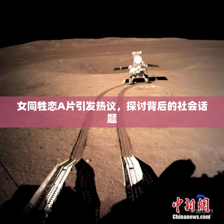 女同牲恋A片引发热议，探讨背后的社会话题