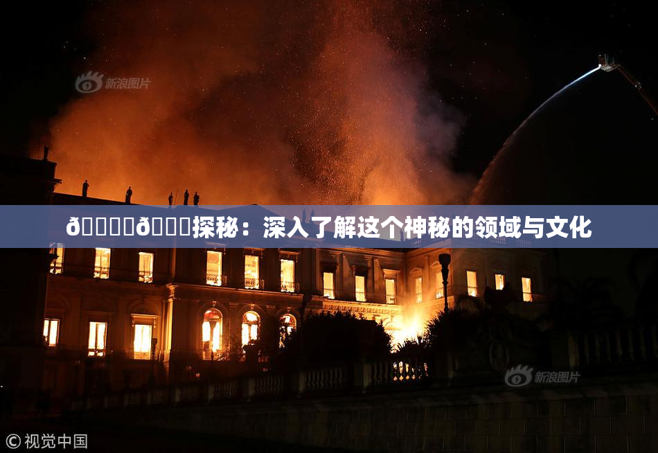 🔞‌🍌探秘：深入了解这个神秘的领域与文化