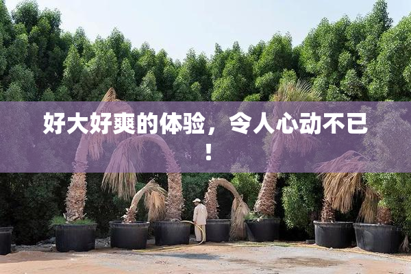 好大好爽的体验，令人心动不已！